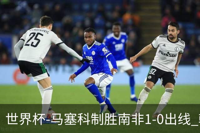 世界杯-马塞科制胜南非1-0出线 韩国积3分获小组第三待定